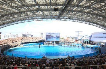 水族馆几点开门（上海海洋水族馆周边住宿推荐上海海洋水族馆潜水体验报名） 水族馆百科（水族馆加盟） 第3张