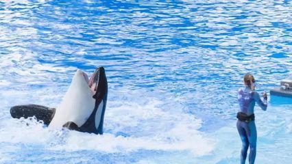 开个水族馆的艰难生活视频大全（关于开个水族馆的艰难生活视频大全） 水族馆百科（水族馆加盟） 第4张