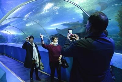 水族馆前景发展趋势（中国水族馆行业发展研究分析与发展趋势预测与发展趋势） 水族馆百科（水族馆加盟） 第5张