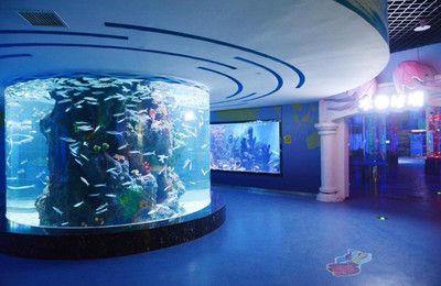 水族馆免费开放时间（徐州市水族展览馆2023年免费开放时间详情）