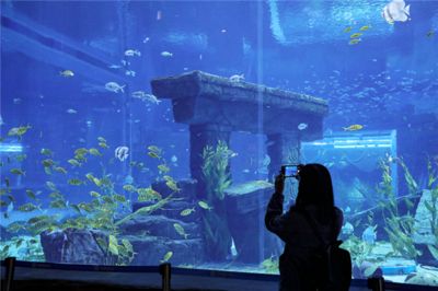 水族馆免费开放时间（徐州市水族展览馆2023年免费开放时间详情） 水族馆百科（水族馆加盟） 第5张