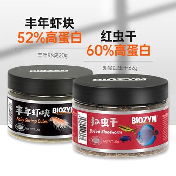 白子银龙鱼用什么颜色的背景好（白子银龙鱼用什么颜色背景养？） 水族问答 第2张