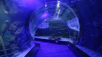 水族馆隧道设计的环保材料选择（新型环保材料——生态复合材料） 水族馆百科（水族馆加盟） 第1张