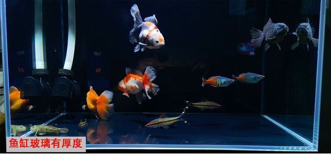 水族馆的经营范围有什么要求（水族馆市场竞争力评估方法,） 水族馆百科（水族馆加盟） 第1张