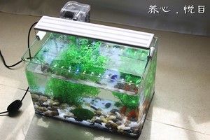 水族馆的鱼缸怎么做的（关于水族馆鱼缸制作的详细信息） 水族馆百科（水族馆加盟） 第1张