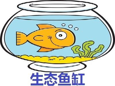 水族馆加盟代理怎么样啊赚钱吗（上海海洋水族馆加盟） 水族馆百科（水族馆加盟） 第5张