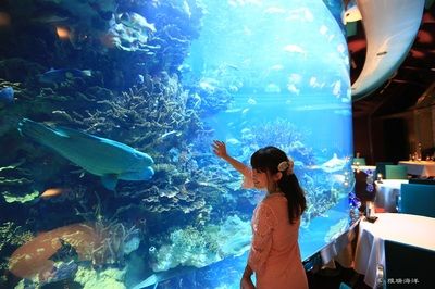 水族馆生物过滤系统的最新进展 水族馆百科（水族馆加盟） 第4张