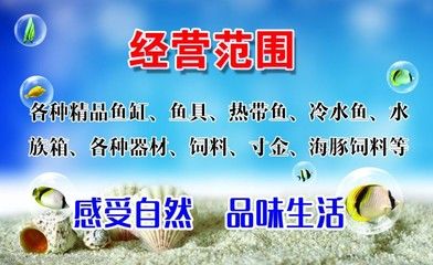 水族馆的经营范围有哪些（水族馆的经营范围）