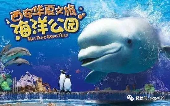 开个水族馆的艰难之旅英语（开一家水族馆需要克服众多难题，） 水族馆百科（水族馆加盟） 第1张