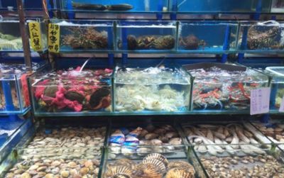 水族馆赚钱吗（水族馆市场调研方法[需手动填充]水族馆市场调研方法创业好处） 水族馆百科（水族馆加盟） 第5张