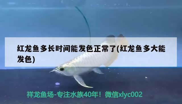 水族馆一般卖什么东西赚钱（水族馆特色纪念品设计案例分析水族馆繁殖技术培训课程）