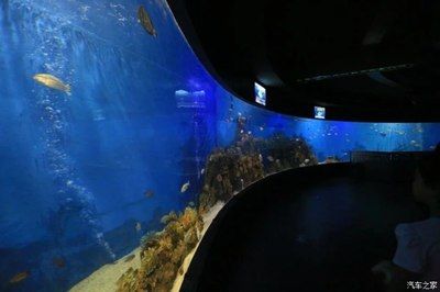 水族馆牌子（水族馆品牌性价比排行,） 水族馆百科（水族馆加盟） 第2张