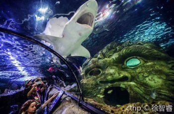 水族馆价格表大全（水族馆价格表） 水族馆百科（水族馆加盟） 第5张