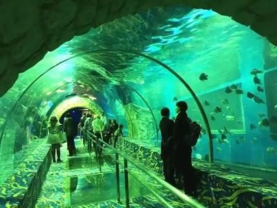 水族馆在哪里？（南京水族馆特色展览介绍阿布扎比国家水族馆互动体验） 水族馆百科（水族馆加盟） 第4张