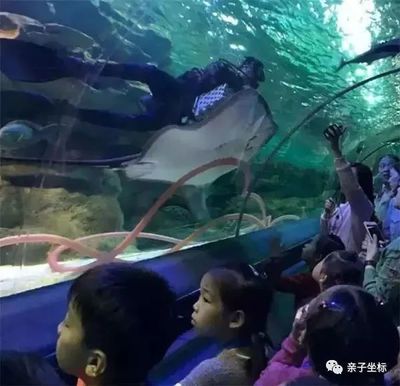 水族馆工作人员是多少工资（水族馆工作人员工资待遇如何） 水族馆百科（水族馆加盟） 第4张