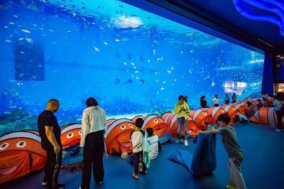 开一家水族馆需要些什么东西呢视频（开一家水族馆需要准备什么） 水族馆百科（水族馆加盟） 第5张