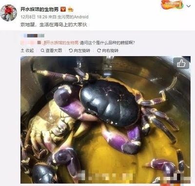 水族馆主要经营什么类目（水族馆主要经营哪些海洋生物） 水族馆百科（水族馆加盟） 第3张