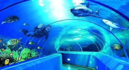 开一个水族馆大概需要多少钱（开一个水族馆需要多少钱？）