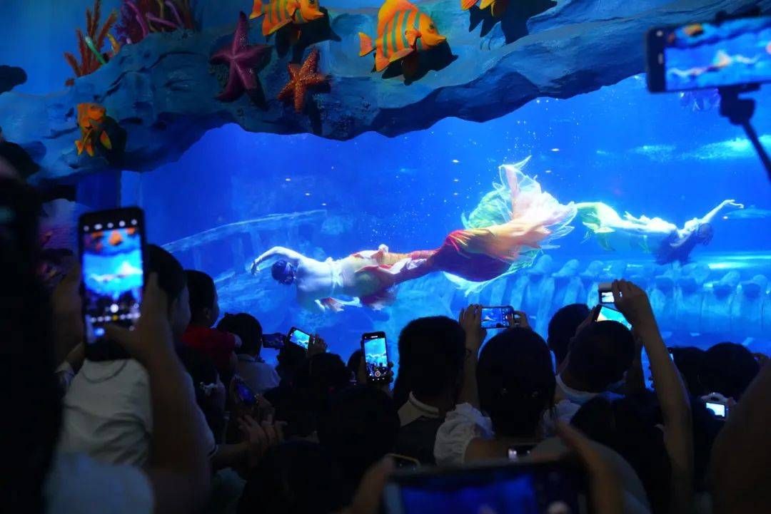 开一间水族馆大概要多少钱（开一间水族馆的成本因地区、规模和设施而异开设一间水族馆）