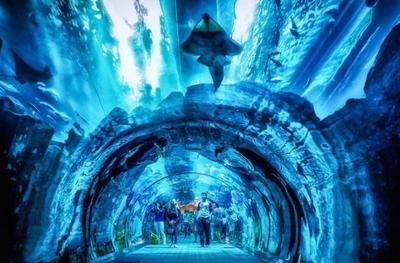 十大水族馆（上海海洋水族馆、上海海洋水族馆、上海海洋水族馆）