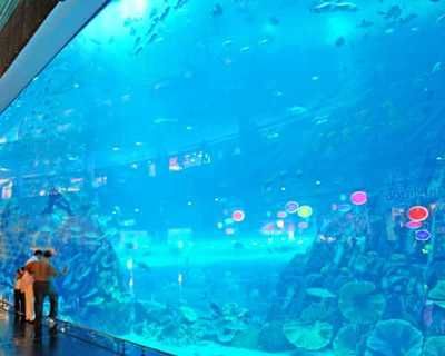 开一家水族馆需要些什么东西（开一家水族馆需要准备什么）