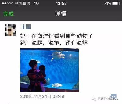 水族馆 游戏（水族馆游戏哪个最耐玩） 水族馆百科（水族馆加盟） 第4张