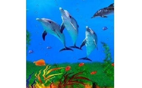 水族馆 屏保（梦幻水族馆屏保的使用） 水族馆百科（水族馆加盟） 第3张