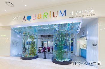 水族馆里面都有什么（参观水族馆的最佳季节） 水族馆百科（水族馆加盟） 第1张