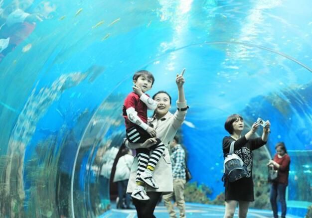 水族馆盈利模式分析图（水族馆的盈利模式） 水族馆百科（水族馆加盟） 第5张