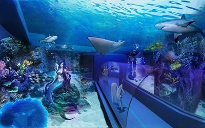 水族馆一般多少钱一个月啊（开一家水族馆涉及多种费用） 水族馆百科（水族馆加盟） 第5张