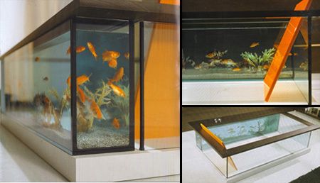 水族馆装修图片效果图（水族馆装修图片效果图水族店装修图片效果图） 水族馆百科（水族馆加盟） 第5张