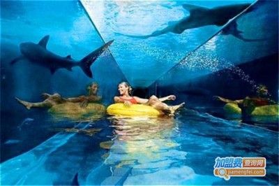 水族馆加盟条件及费用多少钱（水族馆加盟条件及费用）