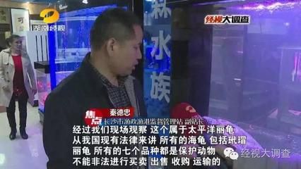 水族馆办营业执照属于哪一类（水族馆办理营业执照流程）