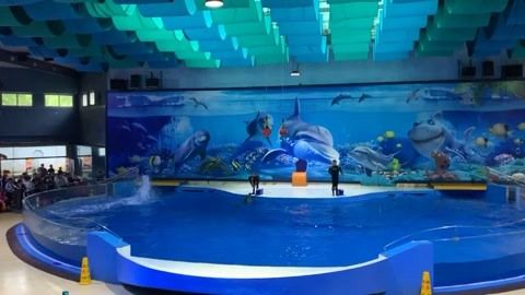 最好玩的水族馆（上海海洋水族馆亲子活动上海海洋水族馆亲子活动） 水族馆百科（水族馆加盟） 第5张