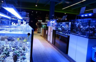 品牌水族馆加盟排行榜最新（品水族馆加盟排行榜） 水族馆百科（水族馆加盟） 第4张