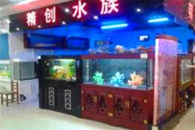 品牌水族馆加盟排行榜最新（品水族馆加盟排行榜）