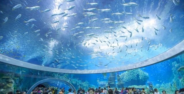 国内水族馆排行（2018年国内水族馆排行榜）