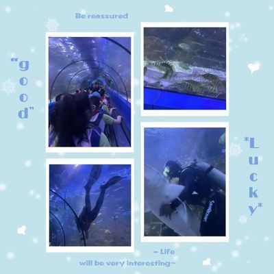 水族馆作文600字（《游水族馆》作文） 水族馆百科（水族馆加盟） 第5张