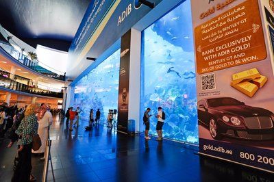 水族馆是干嘛的（水族馆不仅是一个让人们欣赏水生生物美丽的地方，也让人们欣赏） 水族馆百科（水族馆加盟） 第5张