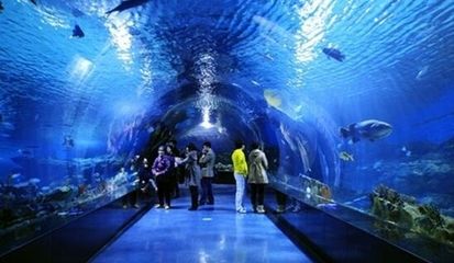 水族馆是啥意思（上海海洋水族馆特色展览有哪些水族馆对环保意识提升作用）