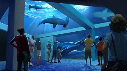 水族馆是啥意思（上海海洋水族馆特色展览有哪些水族馆对环保意识提升作用）