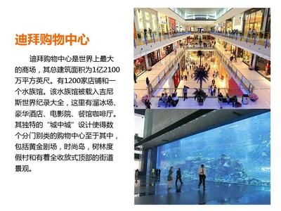 水族馆店铺分类属于什么类型（观赏鱼专营店,综合型水族馆店铺,） 水族馆百科（水族馆加盟） 第5张