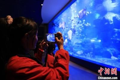 水族馆利润怎么样啊（水族馆利润情况分析）