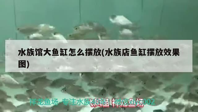 水族馆摆放位置（水族馆摆放风水讲究，客厅西南方摆鱼缸效果）