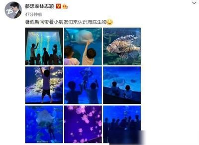 水族馆配文（上海海洋水族馆特色展览）