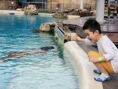 水族馆配文（上海海洋水族馆特色展览） 水族馆百科（水族馆加盟） 第4张