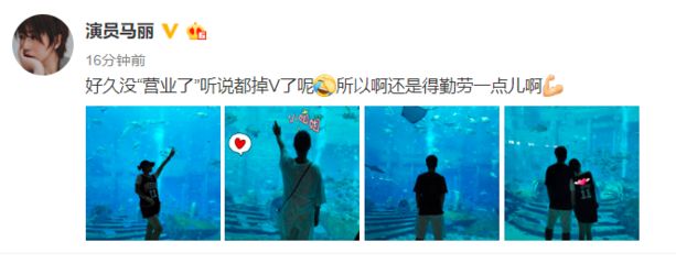 水族馆配文（上海海洋水族馆特色展览）