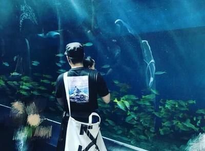 水族馆配文（上海海洋水族馆特色展览） 水族馆百科（水族馆加盟） 第5张