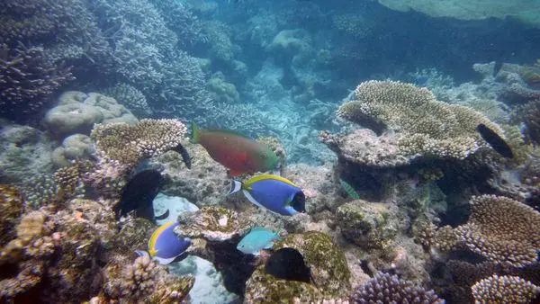 水族馆占地面积（世界最大水族馆排名）