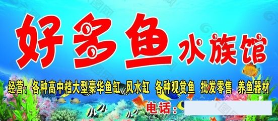 水族馆门头牌图片大全（水族馆门头牌图片大全展示了多种风格的水族馆门头牌） 水族馆百科（水族馆加盟） 第4张